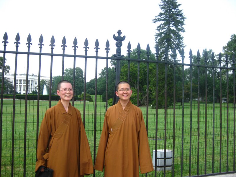 whitehouse05.jpg