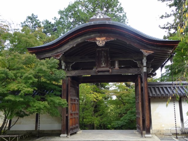 dsc00441.jpg