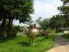 dsc06135_small.jpg