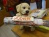 dsc05832_small.jpg